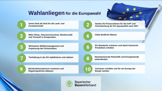 BBV Wahlanliegen zur Europawahl