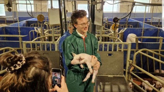 Schweinestall