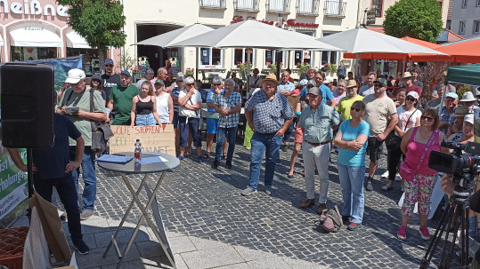 Hohes Medieninteresse Blick ins Publikum