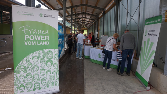 BBV in Welitsch