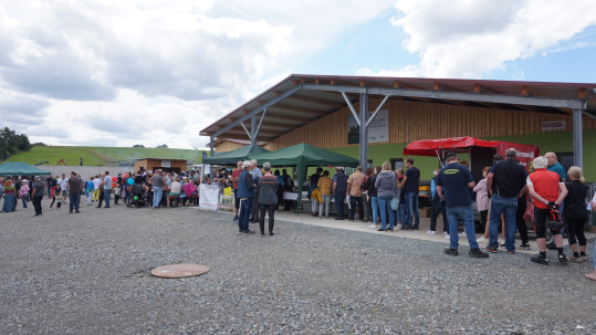 viel los in Welitsch