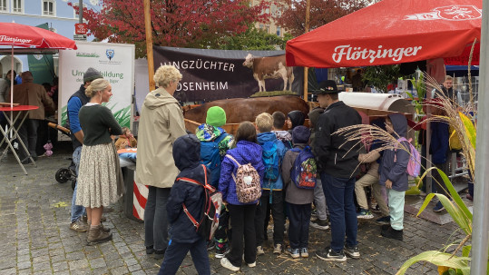 Kälbchen Max