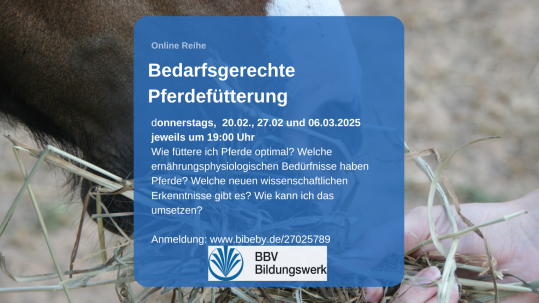 Bedarfsgerechte Pferdefütterung Kurs