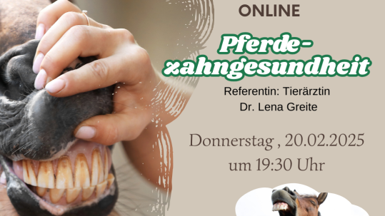 Pferdezahngesundheit