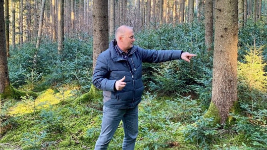 Stefan Graf im Wald