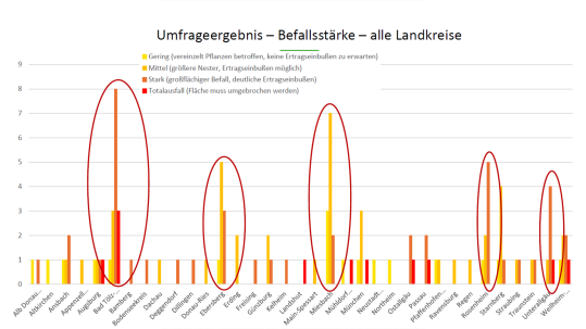 BBV_Umfrageergebnis Befallsstaerke Erdraupen nach Landkreisen