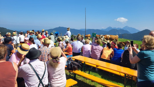 2025-08-19 Almbegehung_22 Almbegehung 2025 "Zwischen Schliersee und Tegernsee"