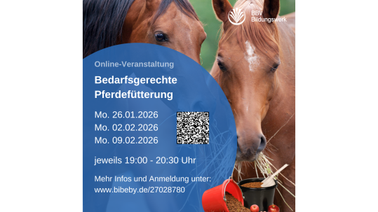 Kurs Bedarfsgerechte Pferdefütterung des BBV Bildungswerks