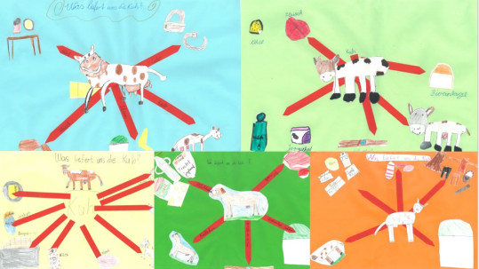 Gewinnercollage 