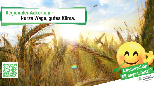 #heuteschonklimageschützt Motiv Getreide #heuteschonklimageschützt Motiv Getreide