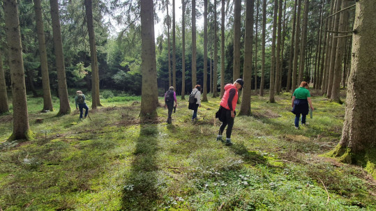 Waldbaden für Landsleut