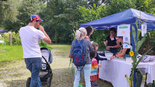 Brotchips selbst machen