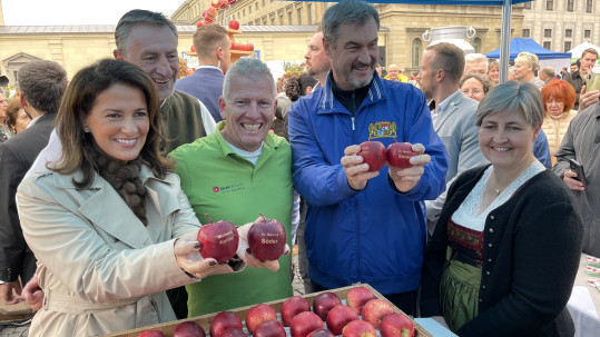 Bauernmarktmeile Apfel-Laser