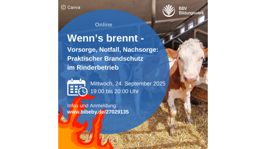 Kurs Brandschutz im Rinderbetrieb BBV Bildungswerk