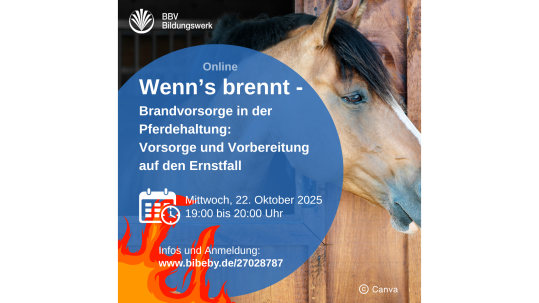 Online-Kurs Brandvorsorge für Pferdehalter BBV Bildungswerk