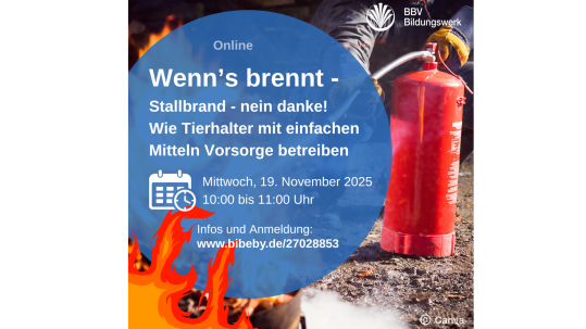 Online-Kurs Stallbrand Vorsorge für alle Tierhalter BBV Bildungswerk