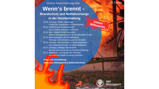 Kursreihe Brandschutz Vorsorge im Brandfall für Tierhalter BBV Bildungswerk