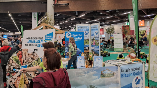 BBV_Consumenta_2024_UadB