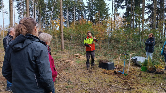 Waldbegehung Kirchweihmontag