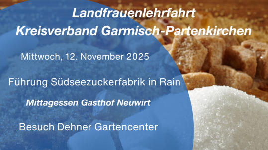 2025 11 12 GAP Südzucker Rain