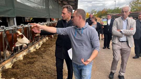 Daniel Böhmer zeigt Erzbischof Gössl die Milchkühe