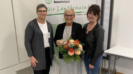 Rosi Kraus als frisch "Gewürfelte" erzählt warum sich Kommunalpolitik für alle lohnt