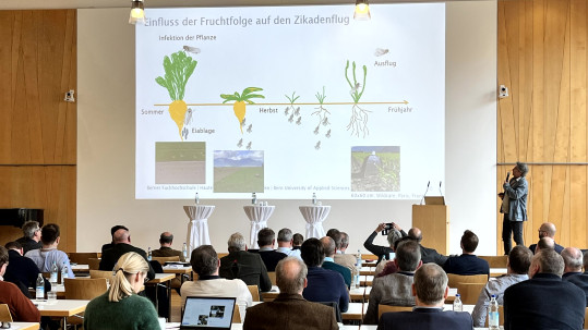 präsentation einer Person vor Zuhörenden 