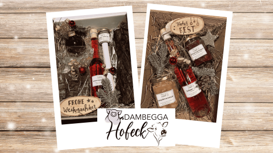 Coloures-Pic_stock.adobe.com - dambegga