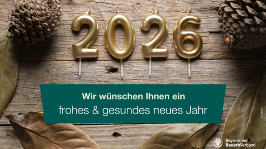 2026 Neujahrsgrüße