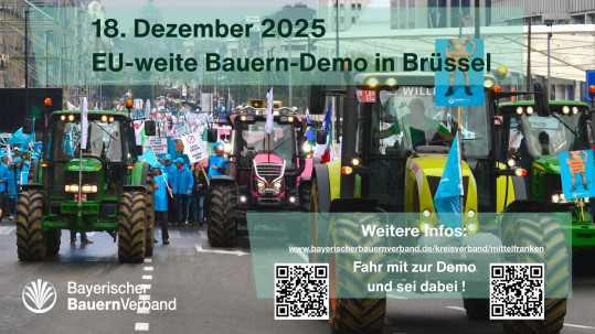 Demo Brüssel 18.12.25
