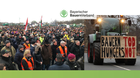 Zusammenschnitt-Demo