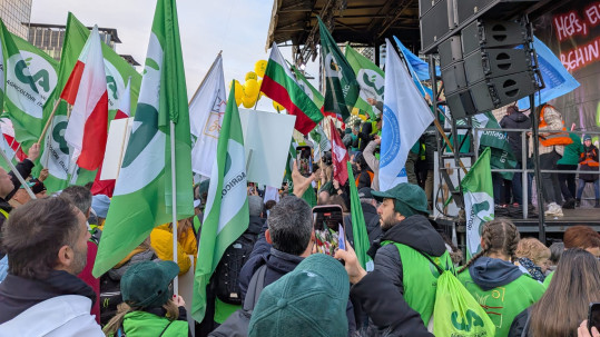 Demonstranten mit Fahnen und Plakaten in Brüssel