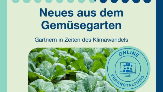 Sharepic Neues aus dem Gemüsegarten