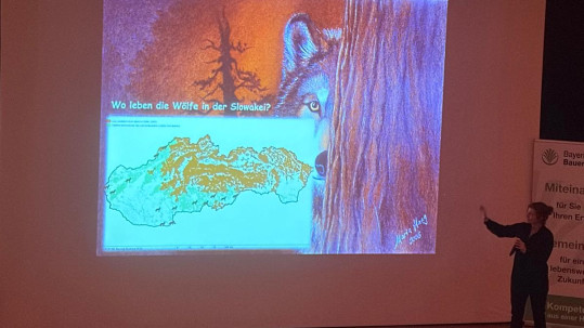 Vortrag Wolf und Bär