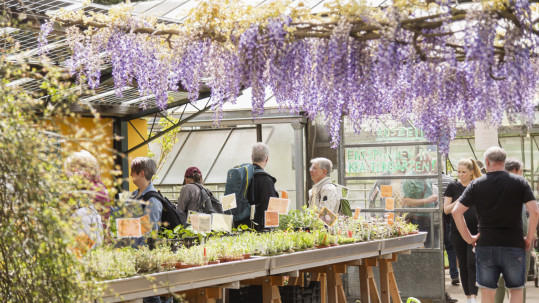Tag der offenen Gärtnereien - Bilder 2025