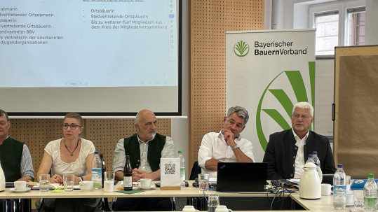 2026-04-28 Bez.vorst.sitzung Fauck