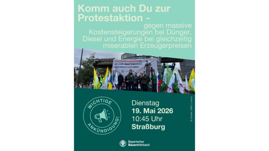 Sharepic Protestaktion Straßburg Mai_Seite 1.png