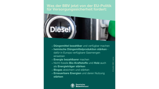 Sharepic Protestaktion Straßburg Mai_Seite 2.png