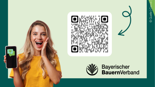 WhatsApp-Kanal
