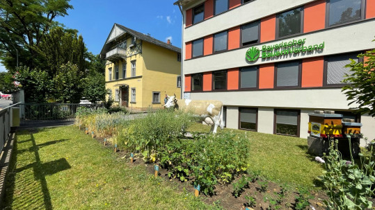 Kulturbeet
