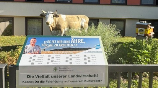 Kulturbeet