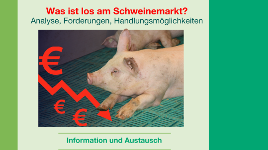schweinemarkt-Infoveranstaltung BBV Preissturz