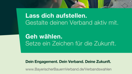 Wer, wenn nicht du?