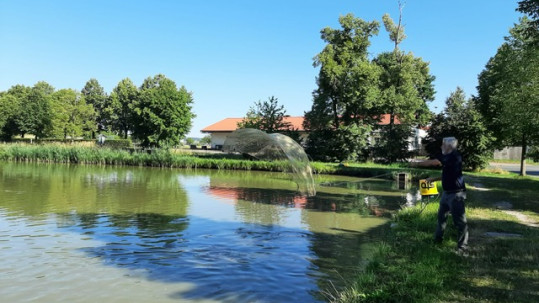 Karpfenzucht Jakob