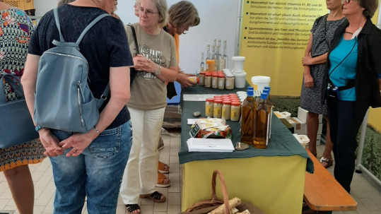 bei Margas Kren in Höchstadt