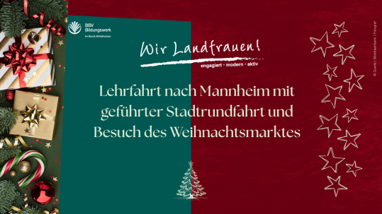 Homepage Weihnahchtsmarktfahrt Mannheim