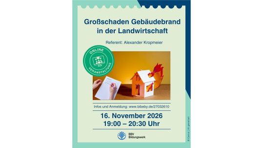 Online Infoveranstaltung Großschaden Gebäudebrand