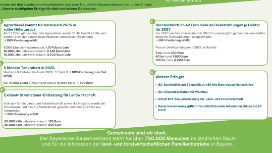 Grafische Darstellung der BBV-Erfolge, die sich auch finanziell positive auf die Mitgliedsbetriebe auswirken